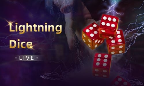 z11bet